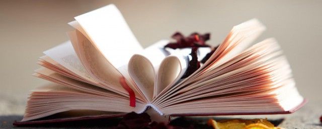 ������ʲô��˼ ������ô��������