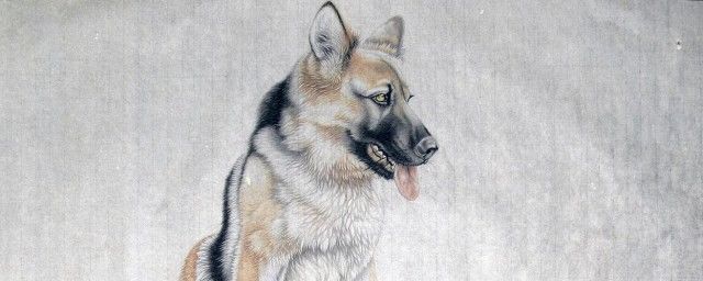 94����ʲô����Ф 1994�����Ф���繷