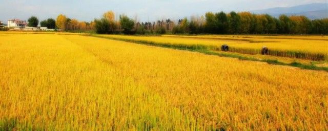 �Ƶı�˳����ôд�� �Ƶ�ƴ���ͱ�˳����˼