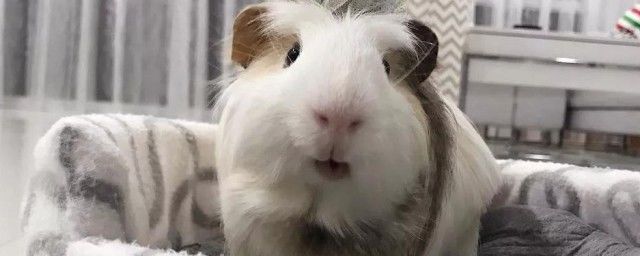 ������������������ʲô�ƶ��� ������һ���ʲô