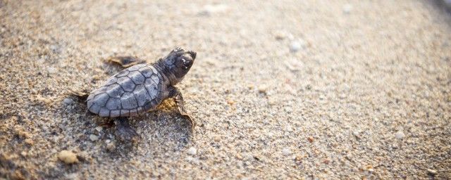 �ڹ�Ӣ����ô�� ��֪���ڹ��Ӣ����ʲô��