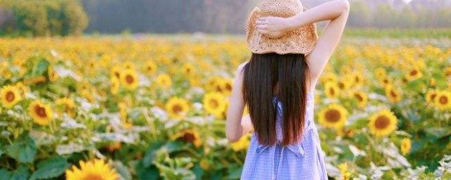 ף�������Ψ�� 13���������͸�����