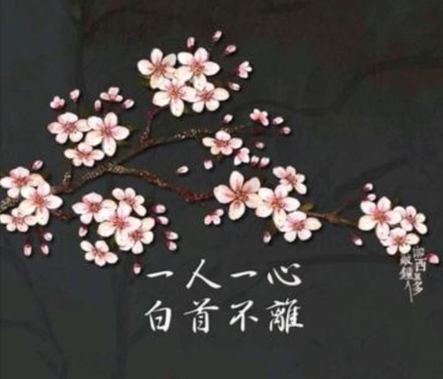 笑红颜结局最后怎么了 五姨太真实身份谁的女儿