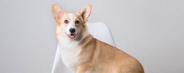 94����ʲô����Ф 94�깷��ʲô������ȱʲô