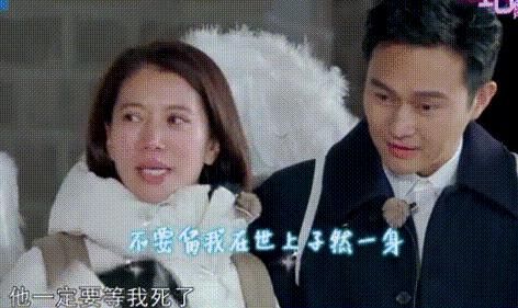 张智霖的个人资料简介 张智霖袁咏仪无性婚姻是真的吗