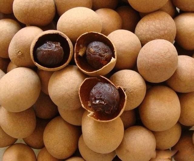 ���ۺ͹�Բ��ͬһ��ˮ���� ����һ���Ǹɻ�һ�����ʻ�