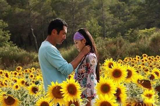 又见一帘幽梦结局是啥 讲的什么故事主要内容