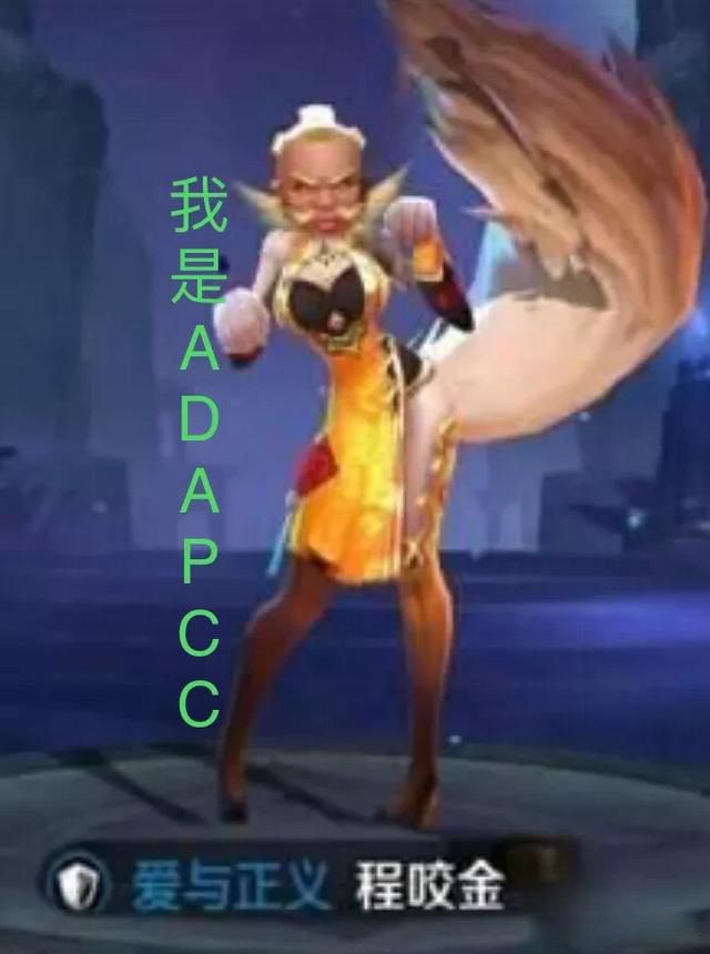 Ӣ������adc��ʲô��˼�� �����������������