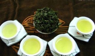铁观音属于什么茶 发源地在中国的哪
