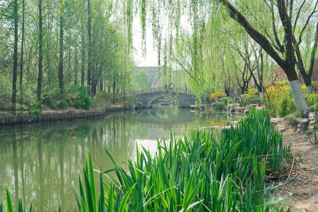 �ݳ�ݺ�ɶ������ݺ��ʲô��˼ ����ʫ�����ֽ�ʲô