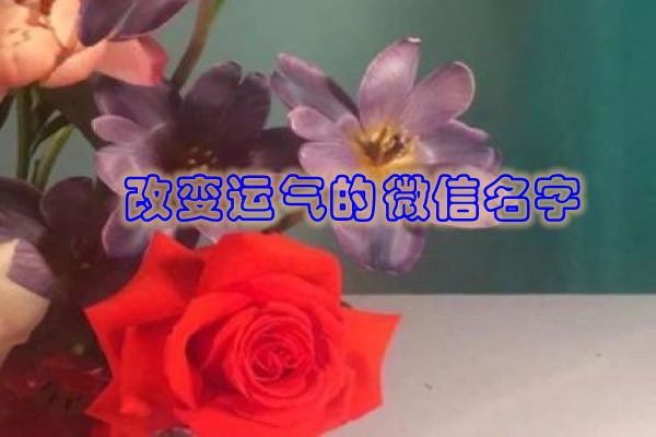 最有财运的微信昵称 做生意必定红火的名字