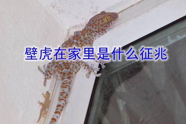 ������ڻ�������Ԥ����ô�������� �ڷ�ˮ�Ͻ�Ԥʾʲô