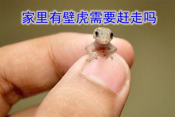 ������ڻ�������Ԥ����ô�������� �ڷ�ˮ�Ͻ�Ԥʾʲô