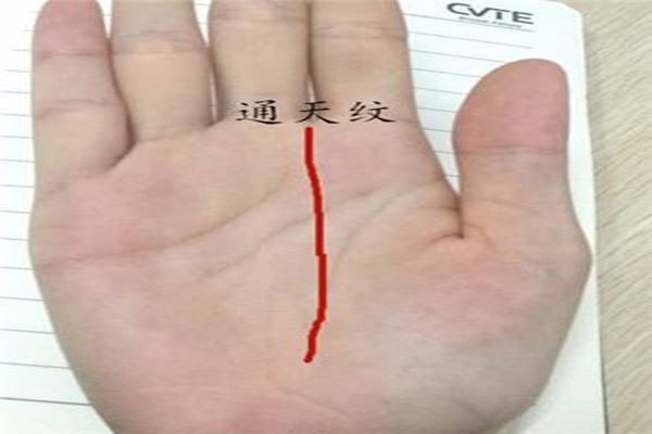发大财的女人手相特征 女人有通天纹意味着什么呢