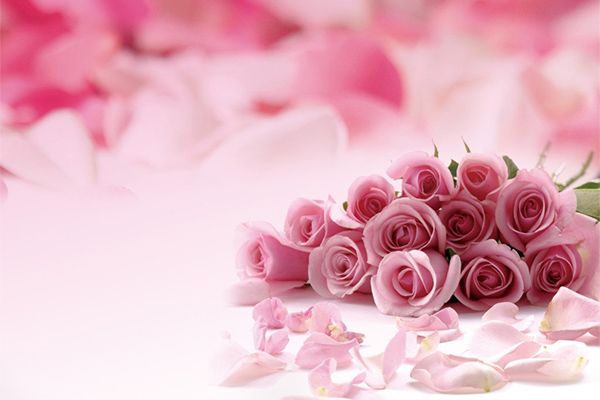 粉玫瑰适合送什么人 19朵和11朵粉玫瑰代表什么意思花语是什么
