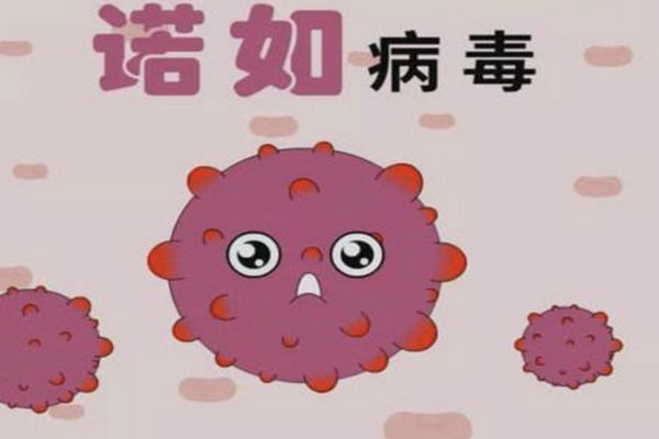 诺如病毒感染的症状有哪些 传播途径及预防措施