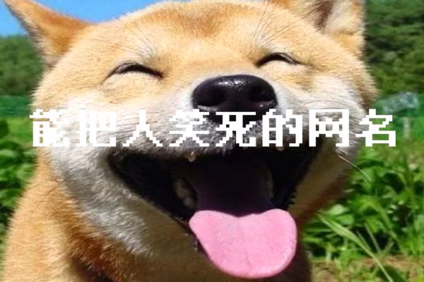 �����������Ů���� ����������ʲô���������׻�