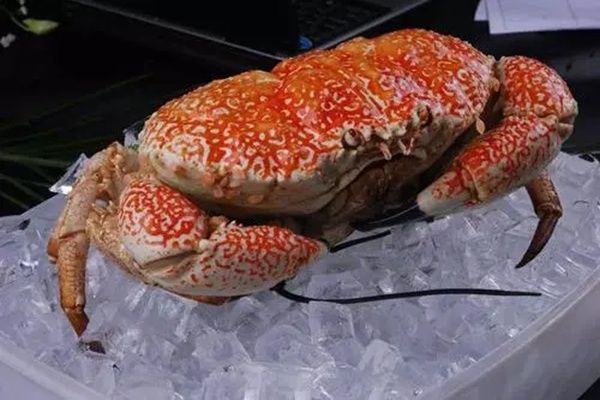 ��������з���尵ʾʲô һ���������󱳺��ʾ��