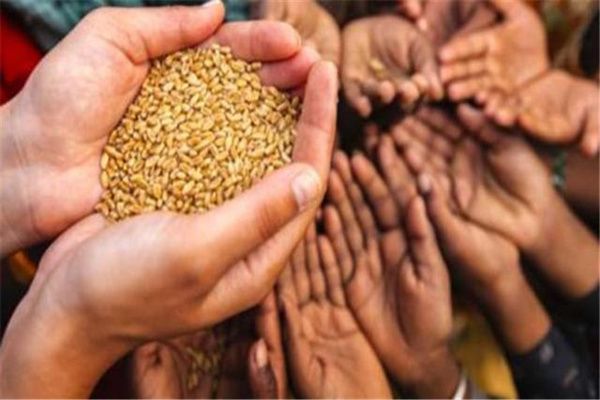 ������Ԥ��2022����ʲô���� ս��������ľޱ�֮��