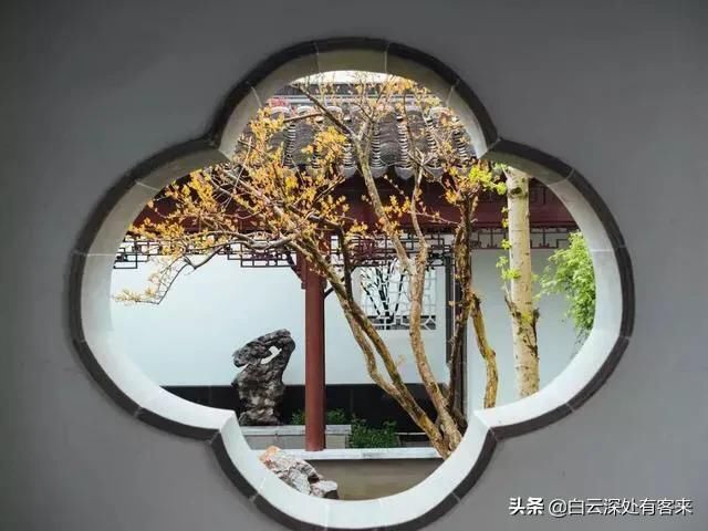 ���������д������������ �ϻ�˵����֮���д���