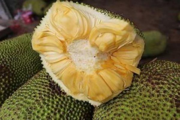 ʪ������ô��ʪ����Ч ȥʪ��������ķ�������Щ