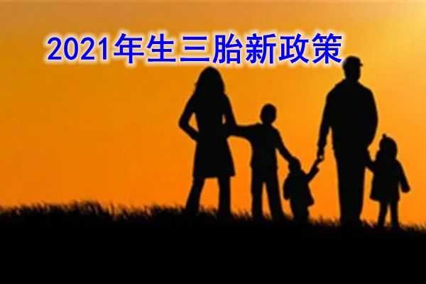 ��̥��ʲô��������2022�� ����̥�����в�������Ǯ