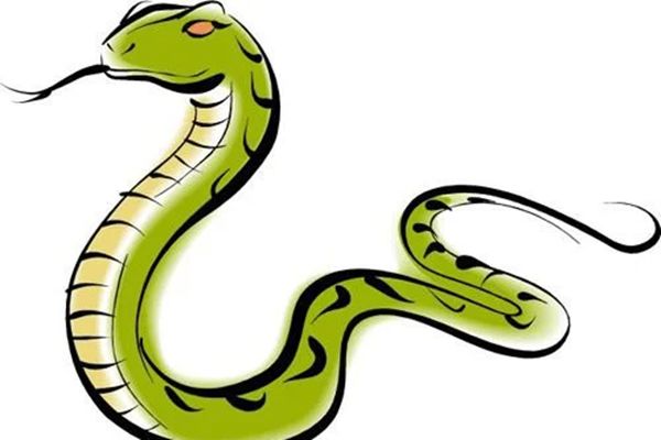 �ε�����ʲô��˼�ܹ����� Ů�������ε���Ԥʾ��ʲô