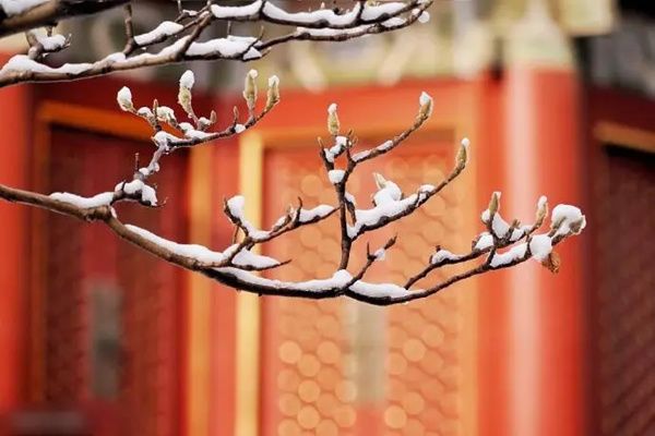 立冬下雪预示什么 立冬下雪的民间谚语有哪些
