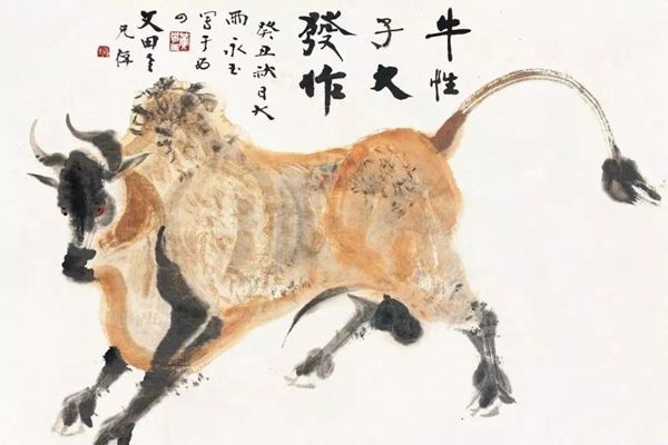 ţ����ʲô���·��� ÿ��ţ����д��·���