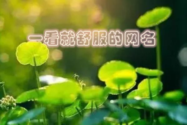 简单看起来舒服的网名 充满阳光既简单又好听的网名