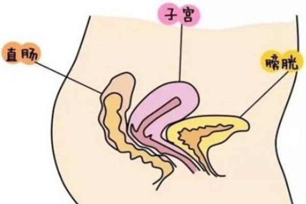 ���е�ǰ��������ɶ��Ӧ ���еĳ���֢״��������Щ֢״