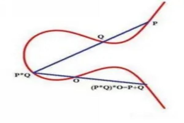 �����ѽ��ʮ����ѧ�� ʮ���������ѧ���̵�