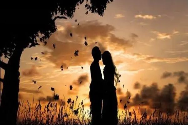 zg��ʲô��˼�������� �������ָʲô