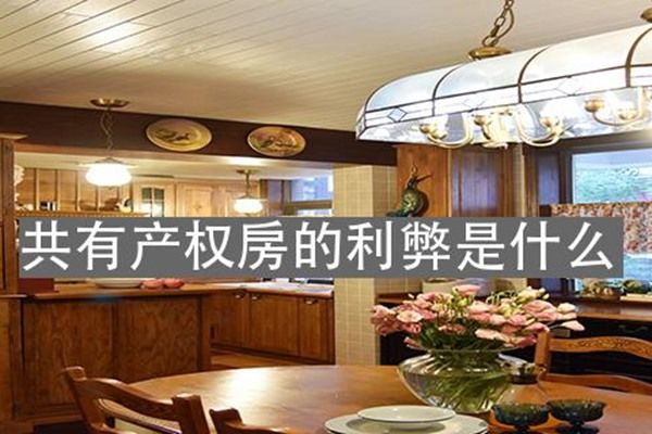 ���в�Ȩ����ʲô��˼ ���빲�в�Ȩ��������