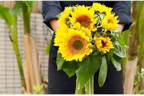 ���տ��Ļ�����ʲô������ʲô ��Ŀ�ޱ������½�������˼