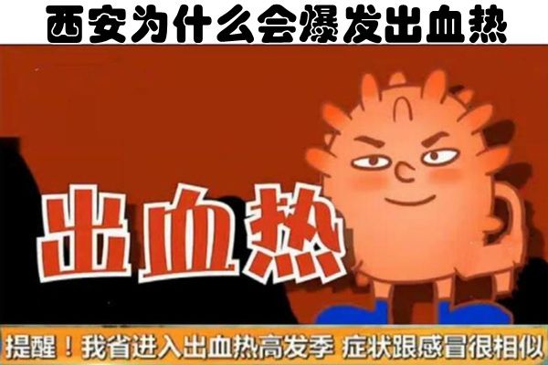 出血热为啥多发于西安 西安血热病是什么原因引起的
