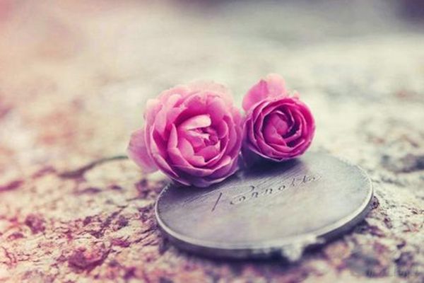 ���ᵽ������������ �и߼��е�����ins��