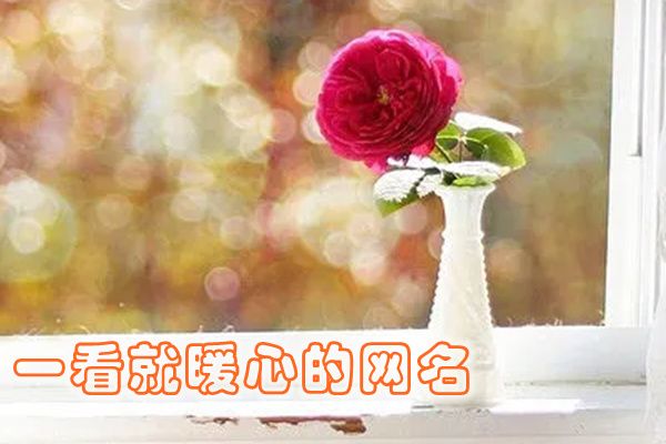 ΢�������ǳƴ�ȫ Ů�������������������ذ���