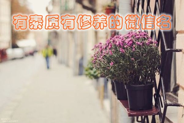 ΢�������ǳƴ�ȫ Ů�������������������ذ���