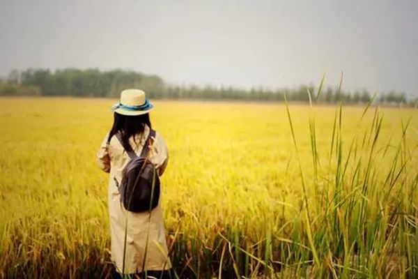想吃螃蟹暗示什么意思 她想有个人躺在她身边