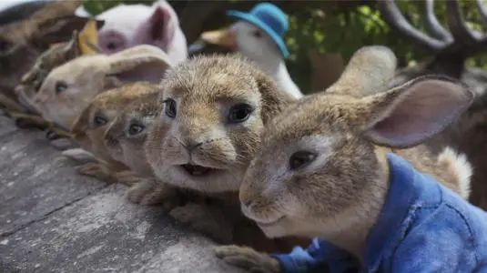 十只兔子的背后故事 谁是凶手到底死了几只兔子