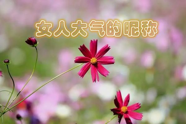 �Ҹ��ʺ��Լ���΢������ ���ں���΢����