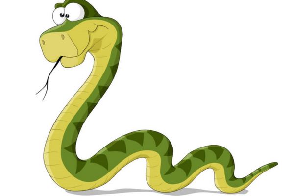 梦到蛇预示着什么意思 梦见蛇有啥预兆是好运吗