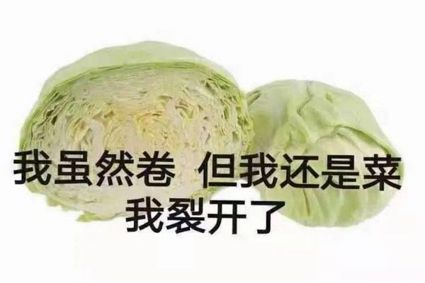 梗是什么意思卷心菜是什么梗通俗易懂含义
