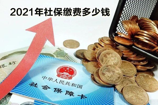 �籣�ѽ��ɻ����ǰ�ʲô��׼�� �籣���˽��ɶ���Ǯһ����