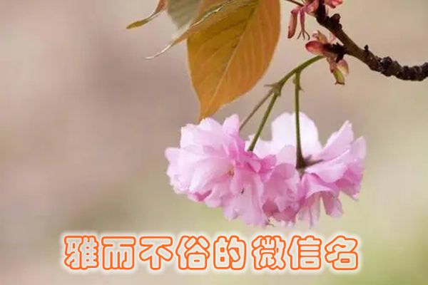 网名有内涵有深度 女生简单气质男生昵称好听