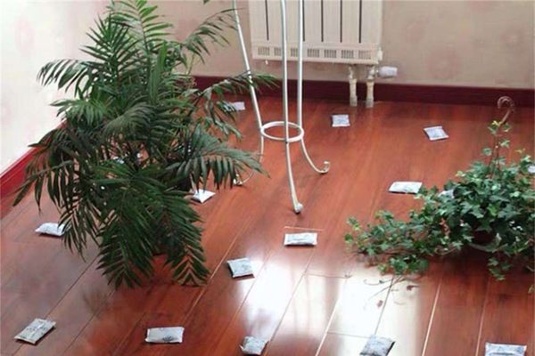 ��ȩȥ������ȷ���� רҵ����ȩ��˾��ô����ȩ