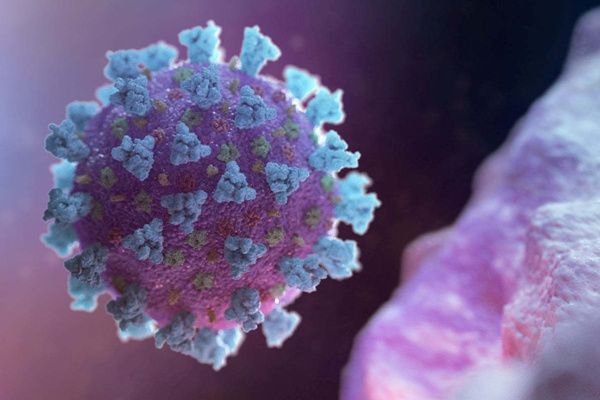 拒绝打新冠疫苗要承担什么后果 现在不打新冠疫苗有哪些影响