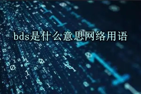 你是我的荣耀BDS是什么意思 关于bds的含义解释