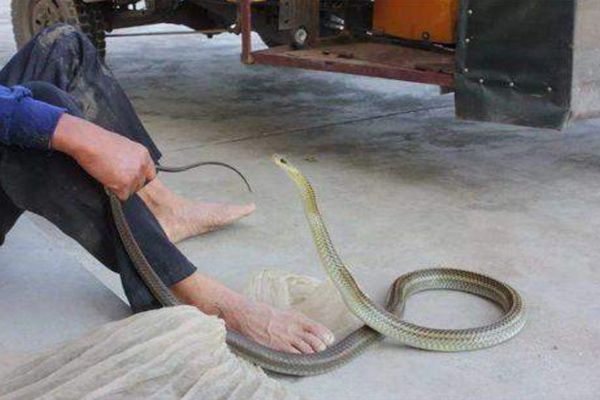 ���߽��������ʲô���� ���߷�̫���������Щ